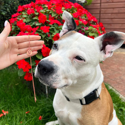 Personlig halskjede med kjæledyransikt